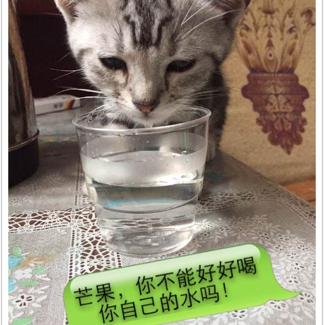 代办仿真发展银行存款证明书样子/图片